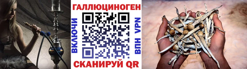 OMG ТОР  Амурск  Псилоцибиновые грибы мухоморы 