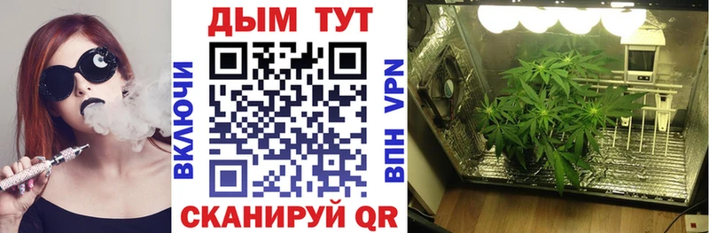 цена наркотик  Амурск  Конопля OG Kush 